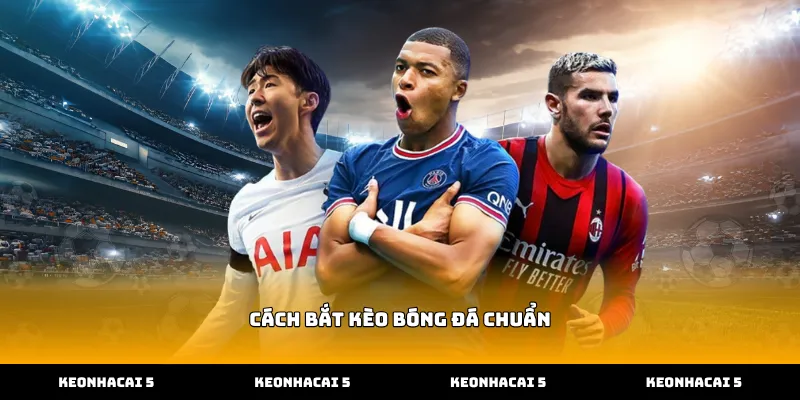 Vận dụng cách bắt kèo bóng đá chuẩn dựa trên số liệu