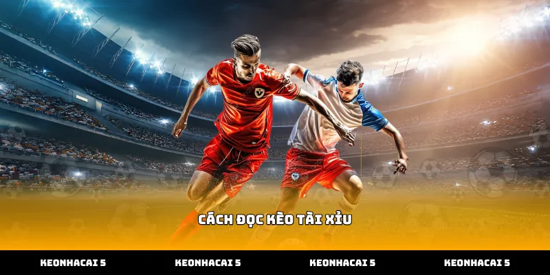 Cách đọc kèo tài xỉu chuẩn tại đơn vị uy tín
