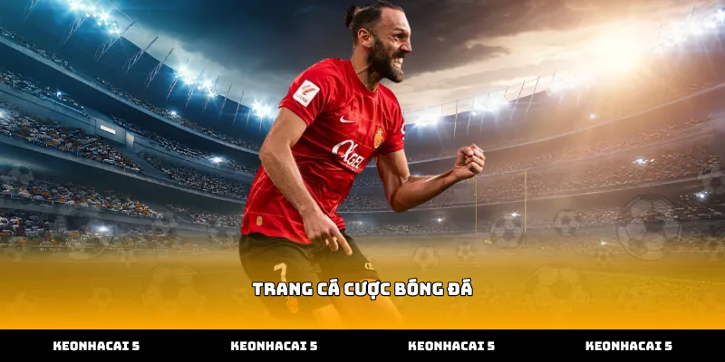 Theo dõi sát biến động tỷ lệ cược tại trang cá cược bóng đá